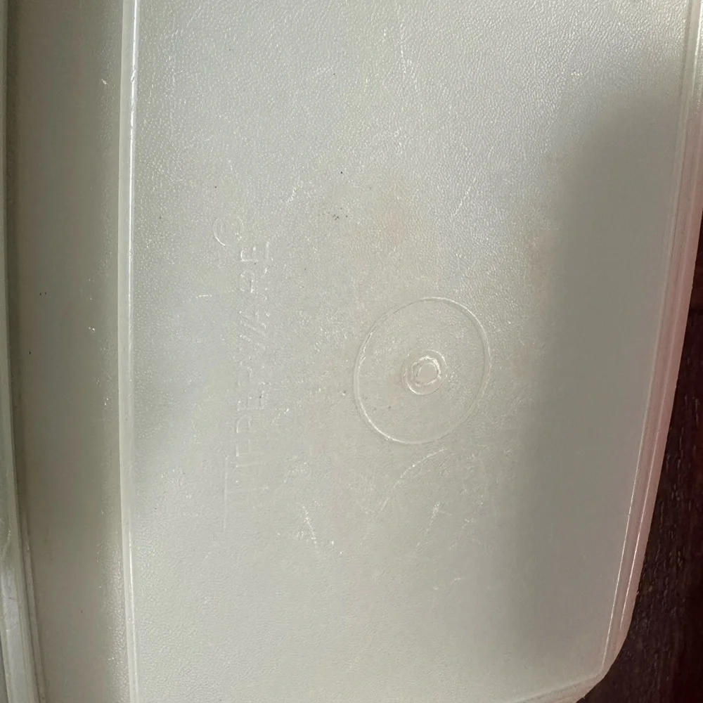 Tupperware vintage lunch carrier with handles